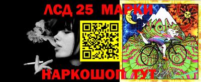 скорость Заводоуковск