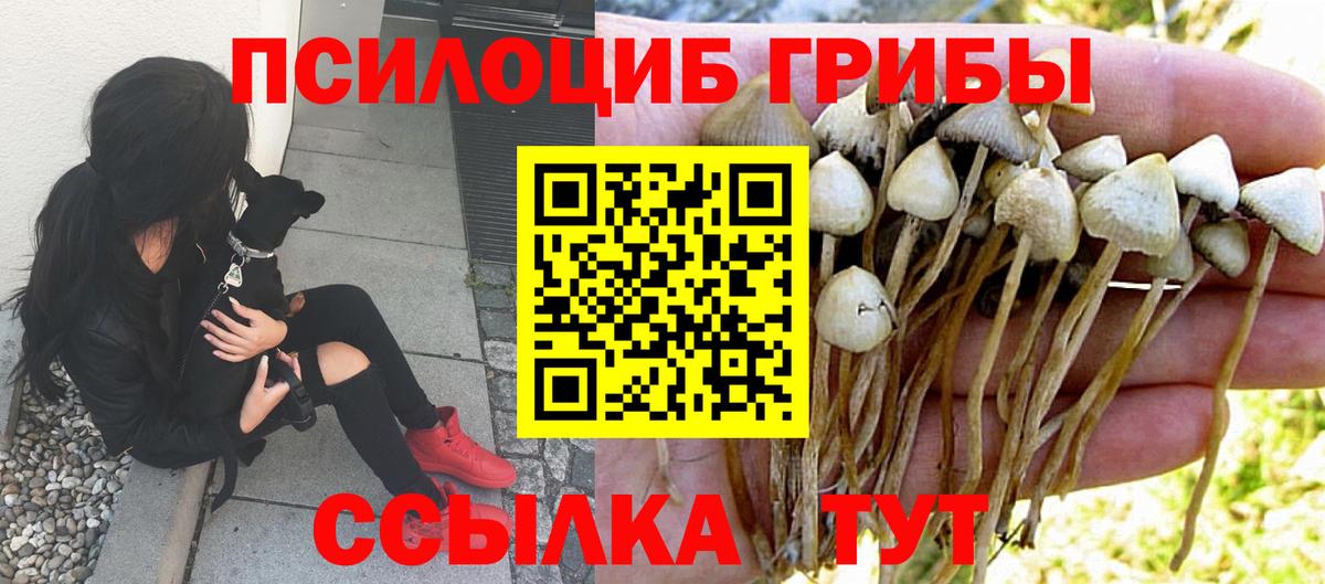 Псилоцибиновые грибы MAGIC MUSHROOMS  сколько стоит  Менделеевск  Вход с VPN 