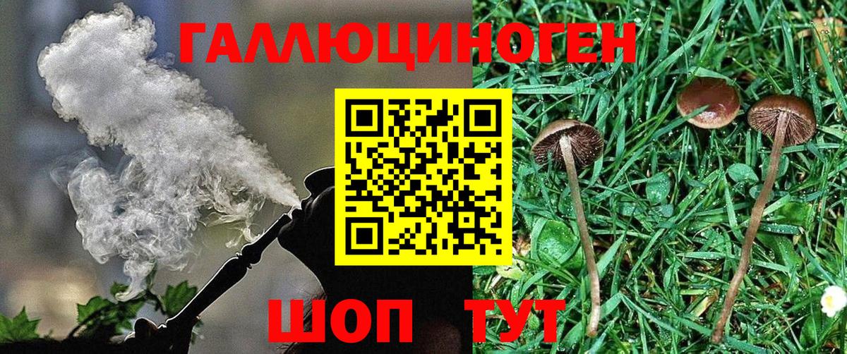 Галлюциногенные грибы MAGIC MUSHROOMS Менделеевск